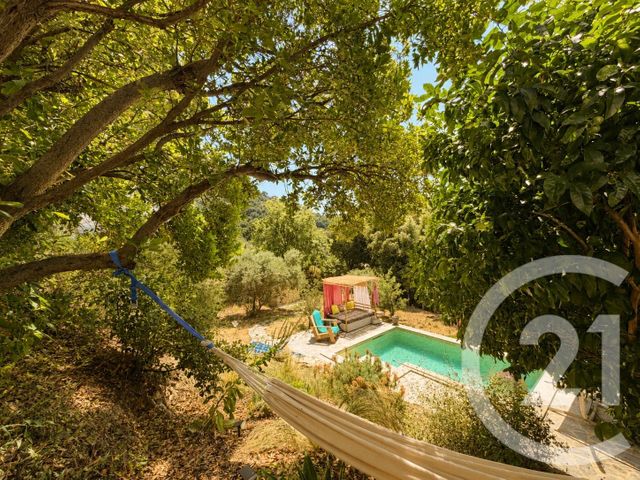 maison à vendre - 5 pièces - 162.0 m2 - POGGIO D OLETTA - 202 - CORSE - Century 21 Dary Immobilier