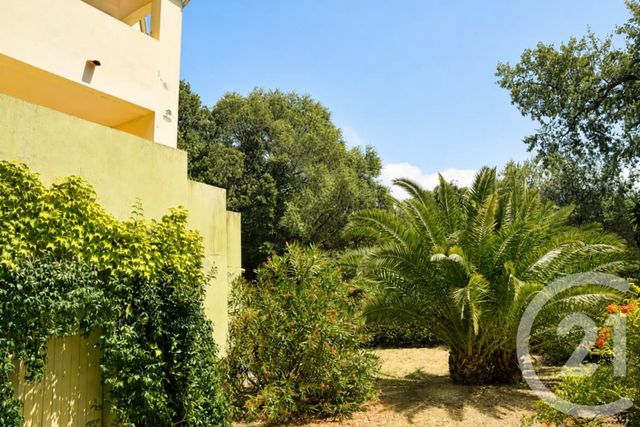 maison à vendre - 8 pièces - 218.0 m2 - PATRIMONIO - 202 - CORSE - Century 21 Dary Immobilier