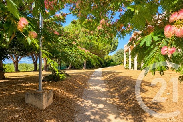 Appartement T2 à vendre - 2 pièces - 44.25 m2 - ST FLORENT - 202 - CORSE - Century 21 Dary Immobilier