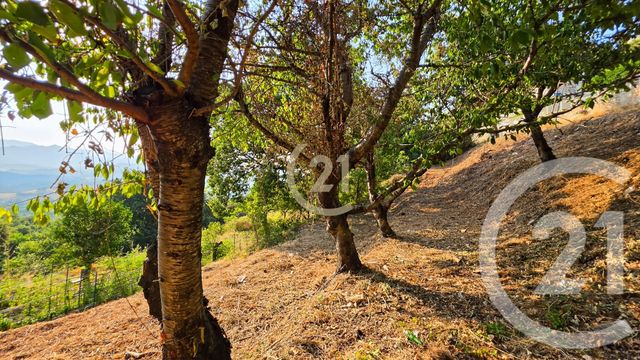 maison à vendre - 4 pièces - 280.0 m2 - OLETTA - 202 - CORSE - Century 21 Dary Immobilier
