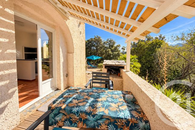 maison à vendre - 15 pièces - 190.44 m2 - PATRIMONIO - 202 - CORSE - Century 21 Dary Immobilier