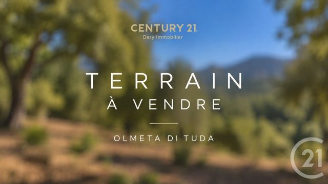 Terrain à vendre OLMETA DI TUDA
