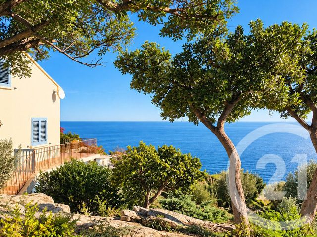 maison à vendre - 6 pièces - 181.91 m2 - SAN MARTINO DI LOTA - 202 - CORSE - Century 21 Dary Immobilier