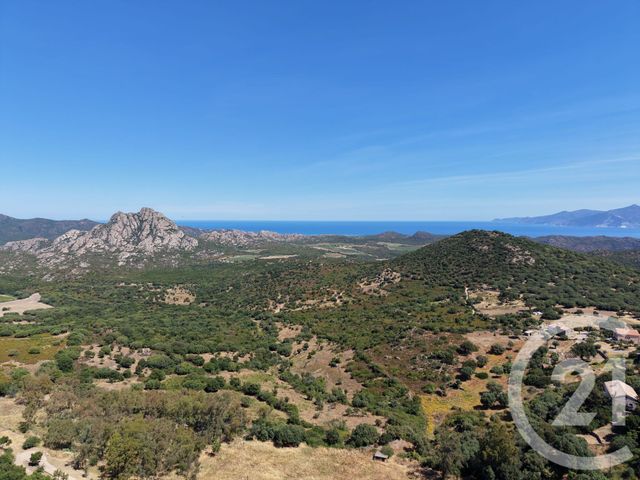 maison - ST FLORENT - 202