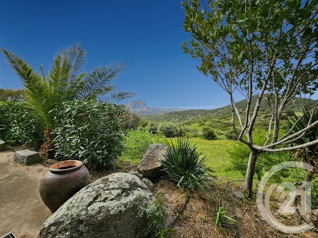 Afficher la photo en grand maison à vendre - 5 pièces - 230.0 m2 - ST FLORENT - 202 - CORSE - Century 21 Dary Immobilier
