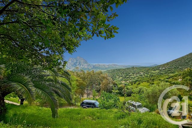Afficher la photo en grand maison à vendre - 5 pièces - 230.0 m2 - ST FLORENT - 202 - CORSE - Century 21 Dary Immobilier