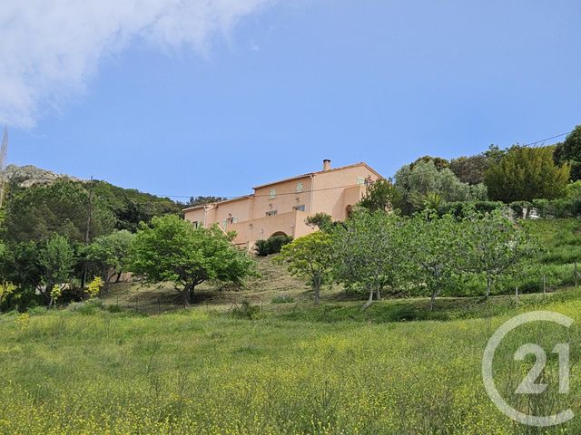 Afficher la photo en grand maison à vendre - 5 pièces - 230.0 m2 - ST FLORENT - 202 - CORSE - Century 21 Dary Immobilier