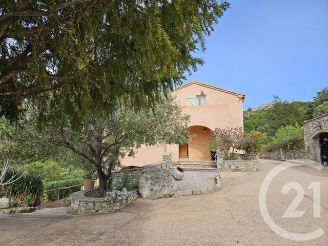 Afficher la photo en grand maison à vendre - 5 pièces - 230.0 m2 - ST FLORENT - 202 - CORSE - Century 21 Dary Immobilier