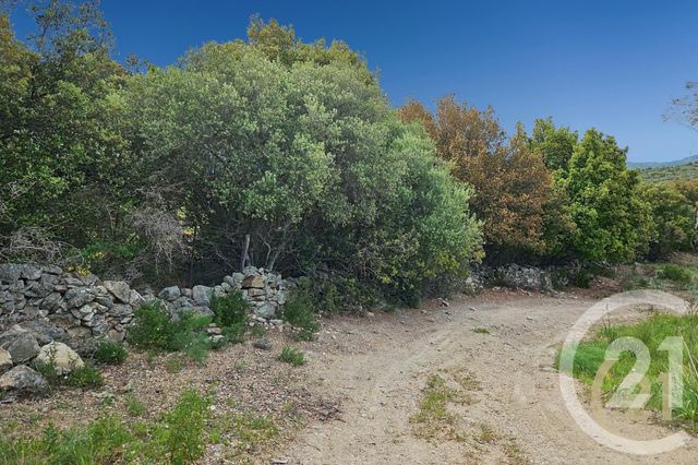 Afficher la photo en grand maison à vendre - 5 pièces - 230.0 m2 - ST FLORENT - 202 - CORSE - Century 21 Dary Immobilier